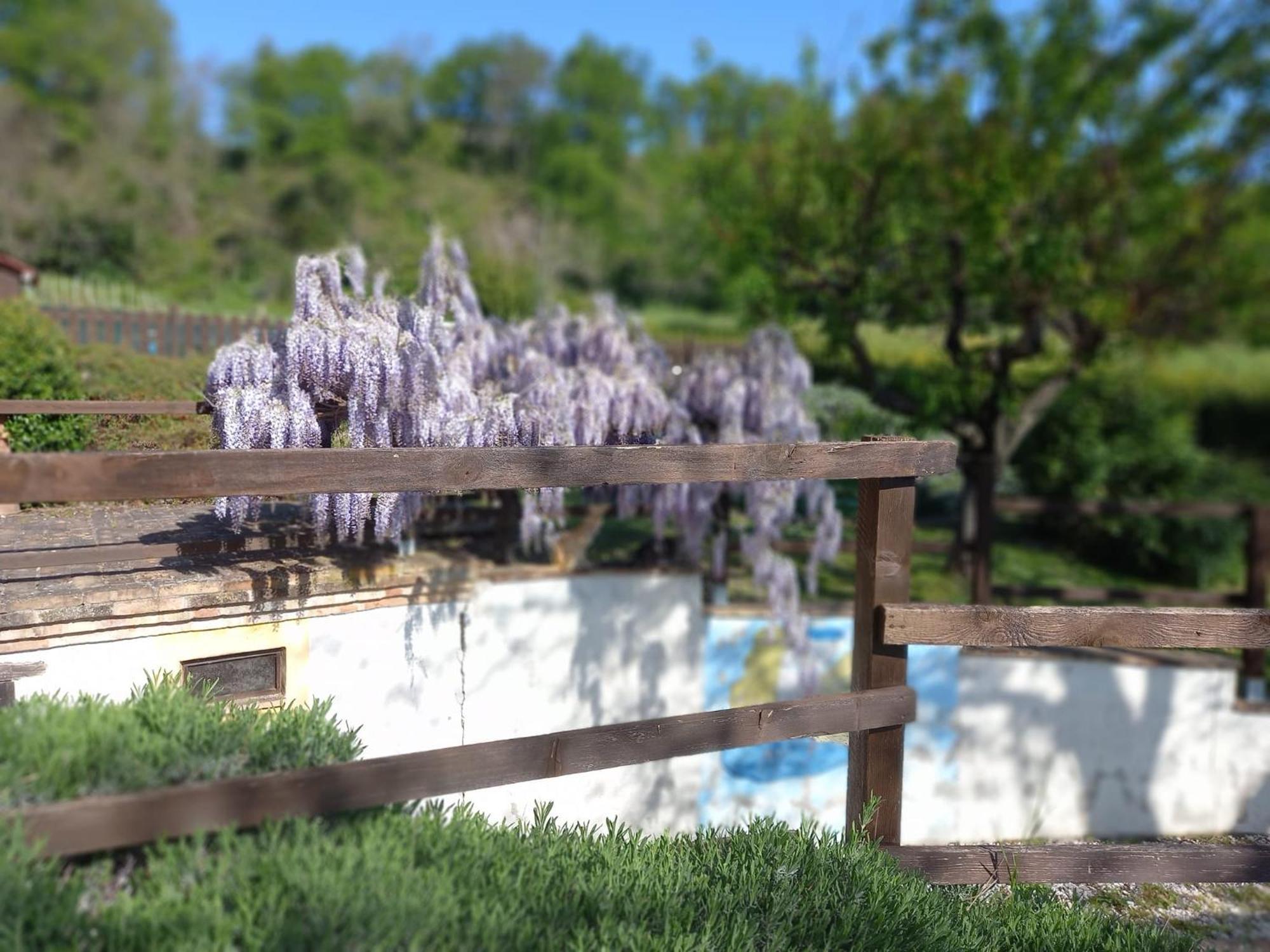 Il Casale Di Aurora Country House Colmurano Εξωτερικό φωτογραφία