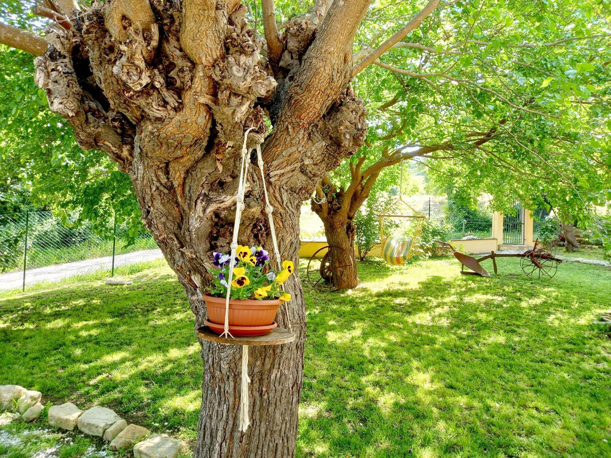 Il Casale Di Aurora Country House Colmurano Εξωτερικό φωτογραφία