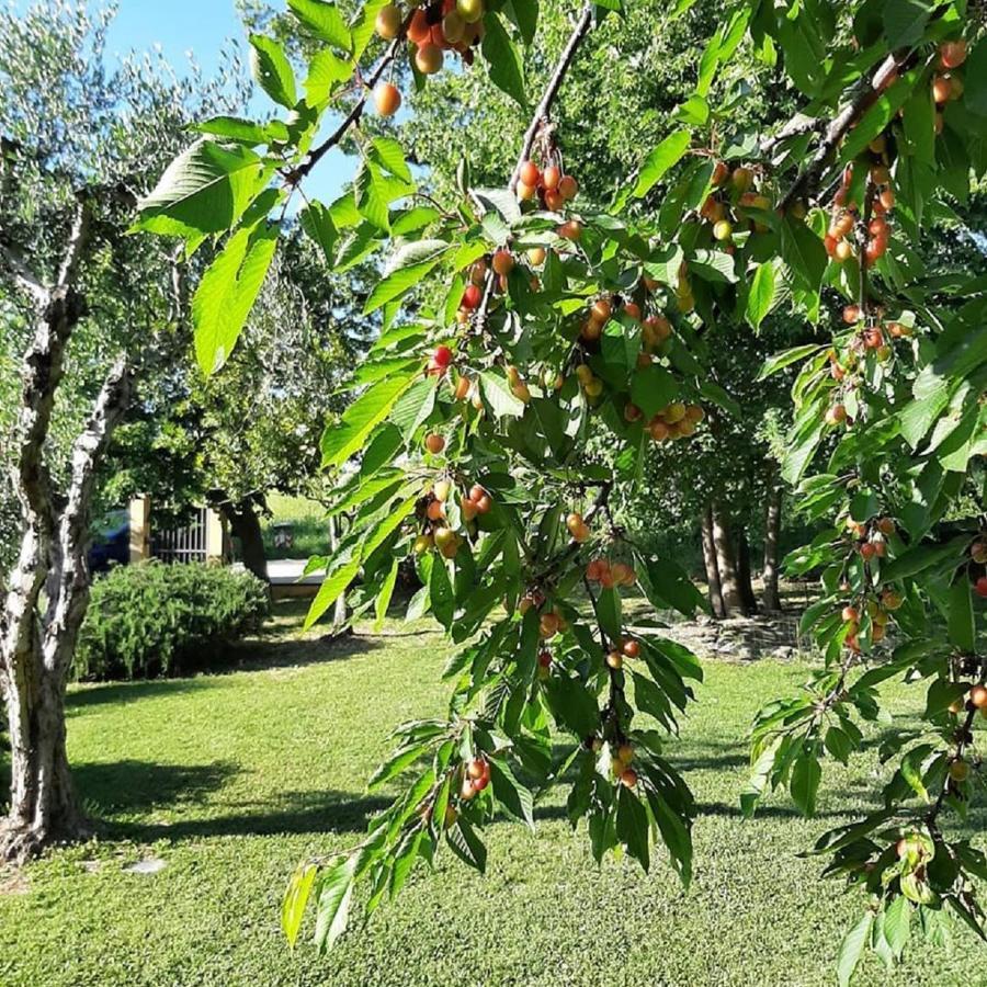 Il Casale Di Aurora Country House Colmurano Εξωτερικό φωτογραφία